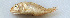  ( - IRD LETked_20121118-P.2)  @11 [ ] CreativeCommons  Attribution Non-Commercial Share-Alike (2012) F. Giancarlo Proyek Biokor, Indonesia