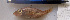  ( - IRD LETked_20121118-delta.2)  @11 [ ] CreativeCommons  Attribution Non-Commercial Share-Alike (2012) F. Giancarlo Proyek Biokor, Indonesia