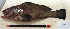  ( - IRD 20140214-A.2)  @11 [ ] CreativeCommons  Attribution Non-Commercial Share-Alike  Unspecified Institut de recherche pour le développement, France