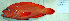  ( - IRD 20140214-B.2)  @11 [ ] CreativeCommons  Attribution Non-Commercial Share-Alike  Unspecified Institut de recherche pour le développement, France