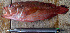  ( - IRD 20140216-P.2)  @11 [ ] CreativeCommons  Attribution Non-Commercial Share-Alike  Unspecified Institut de recherche pour le développement, France