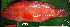  ( - IRD 20140217-2.2)  @11 [ ] CreativeCommons  Attribution Non-Commercial Share-Alike  Unspecified Institut de recherche pour le développement, France