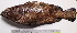  ( - IRD 20150502-K.2)  @11 [ ] CreativeCommons  Attribution Non-Commercial Share-Alike (2015) Philippe Borsa Institut de recherche pour le développement