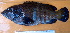  ( - IRD 20150430-8.2)  @11 [ ] CreativeCommons  Attribution Non-Commercial Share-Alike (2015) Philippe Borsa Institut de recherche pour le développement