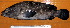  ( - IRD 20150430-18.2)  @11 [ ] CreativeCommons  Attribution Non-Commercial Share-Alike (2015) Philippe Borsa Institut de recherche pour le développement