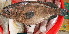 ( - IRD 20150506-1.2)  @11 [ ] CreativeCommons  Attribution Non-Commercial Share-Alike (2015) Philippe Borsa Institut de recherche pour le développement