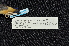  ( - IRD LGR-106.2)  @11 [ ] CreativeCommons  Attribution Non-Commercial Share-Alike (2014) Hidayat Hashari Indonesian Institute of Sciences, Museum Zoologicum Bogoriense