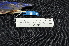  ( - IRD LGR-152.2)  @11 [ ] CreativeCommons  Attribution Non-Commercial Share-Alike (2014) Hidayat Hashari Indonesian Institute of Sciences, Museum Zoologicum Bogoriense