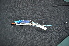  ( - IRD LGR-034.2)  @11 [ ] CreativeCommons  Attribution Non-Commercial Share-Alike (2014) Hidayat Hashari Indonesian Institute of Sciences, Museum Zoologicum Bogoriense