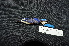  ( - IRD LGR-049.2)  @11 [ ] CreativeCommons  Attribution Non-Commercial Share-Alike (2014) Hidayat Hashari Indonesian Institute of Sciences, Museum Zoologicum Bogoriense
