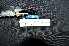  ( - IRD LGR-070.2)  @11 [ ] CreativeCommons  Attribution Non-Commercial Share-Alike (2014) Hidayat Hashari Indonesian Institute of Sciences, Museum Zoologicum Bogoriense