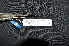  ( - IRD LGR-046.2)  @11 [ ] CreativeCommons  Attribution Non-Commercial Share-Alike (2014) Hidayat Hashari Indonesian Institute of Sciences, Museum Zoologicum Bogoriense