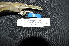  ( - IRD LGR-027.2)  @11 [ ] CreativeCommons  Attribution Non-Commercial Share-Alike (2014) Hidayat Hashari Indonesian Institute of Sciences, Museum Zoologicum Bogoriense