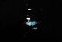  ( - IRD BIF 3085.2)  @11 [ ] CreativeCommons  Attribution Non-Commercial Share-Alike (2016) Laurent POUYAUD IRD