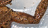  ( - IRD EAA312.2)  @11 [ ] CreativeCommons  Attribution Non-Commercial Share-Alike (2014) Evy Arida Indonesian Institute of Sciences, Museum Zoologicum Bogoriense
