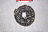  ( - IRD EAA384.2)  @11 [ ] CreativeCommons  Attribution Non-Commercial Share-Alike (2014) Evy Arida Indonesian Institute of Sciences, Museum Zoologicum Bogoriense