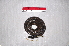  ( - IRD EAA480.2)  @11 [ ] CreativeCommons  Attribution Non-Commercial Share-Alike (2014) Evy Arida Indonesian Institute of Sciences, Museum Zoologicum Bogoriense