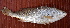  ( - Bar001)  @11 [ ] Copyright (c) (2022) Pieter-Jan Keleman School of Agronomy, University of Lisbon