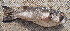  ( - Bar031)  @11 [ ] Copyright (c) (2022) Pieter-Jan Keleman School of Agronomy, University of Lisbon