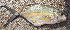 ( - Bar032)  @11 [ ] Copyright (c) (2022) Pieter-Jan Keleman School of Agronomy, University of Lisbon