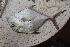  ( - AB-034)  @11 [ ] Copyright (c) (2021) Pieter-Jan Keleman School of Agronomy, University of Lisbon