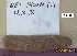  ( - BIM DS-240)  @11 [ ] Copyright (c) (2014) Paz G. IOLR