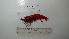  ( - BIM DS 09)  @14 [ ] No Rights Reserved (2013) Guy Paz IOLR