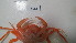  ( - BIM DS 14)  @12 [ ] No Rights Reserved (2013) Guy Paz IOLR