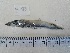  ( - BIM F-089)  @11 [ ] Copyright (2019) Stern N. Israel Oceanographic and Limnological Research