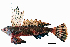  ( - Callion1)  @11 [ ] CreativeCommons - Attribution Share-Alike (2023) Unspecified Israel Oceanographic and Limnological Research