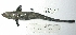  ( - BIM H41)  @12 [ ] No Rights Reserved (2012) Guy Paz IOLR