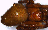  ( - MECN_AR_616a)  @11 [ ] CC-BY-NC-ND (2024) INABIO INABIO