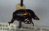  ( - MECN_CO_1593)  @11 [ ] CC-BY-NC-ND (2024) INABIO INABIO