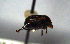  ( - MECN_CO_1594)  @11 [ ] CC-BY-NC-ND (2024) INABIO INABIO
