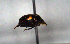  ( - MECN_CO_1595)  @11 [ ] CC-BY-NC-ND (2024) INABIO INABIO
