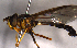  ( - MECN_EN_29502)  @11 [ ] CC-BY-NC-ND (2024) INABIO INABIO