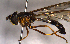  ( - MECN_EN_29504)  @11 [ ] CC-BY-NC-ND (2024) INABIO INABIO