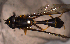  ( - MECN_EN_29504)  @11 [ ] CC-BY-NC-ND (2024) INABIO INABIO