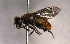  ( - MECN_EN_29565)  @11 [ ] CC-BY-NC-ND (2024) INABIO INABIO