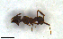  ( - MECN_EN_37561)  @11 [ ] CC-BY-NC-ND (2024) INABIO INABIO