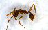  ( - MECN_EN_37579)  @11 [ ] CC-BY-NC-ND (2024) INABIO INABIO