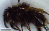  ( - MECN_EN_HYM_7460)  @11 [ ] CC-BY-NC-ND (2024) INABIO INABIO