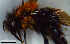  ( - MECN_EN_HYM_7472)  @11 [ ] CC-BY-NC-ND (2024) INABIO INABIO