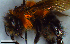  ( - MECN_EN_HYM_7473)  @11 [ ] CC-BY-NC-ND (2024) INABIO INABIO