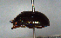  ( - MECN_EN_COL_7227)  @11 [ ] CC-BY-NC-ND (2024) INABIO INABIO