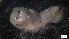  ( - G21-SW12-E079)  @11 [ ] C (2022) Unspecified Biologica Environmental Services