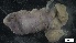  ( - G21-SW14-E080)  @11 [ ] C (2022) Unspecified Biologica Environmental Services