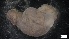  ( - G21-SW14-E081)  @11 [ ] C (2022) Unspecified Biologica Environmental Services