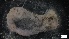  ( - G21-SW14-E082)  @11 [ ] C (2022) Unspecified Biologica Environmental Services