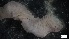  ( - G21-SW14-E083)  @11 [ ] C (2022) Unspecified Biologica Environmental Services